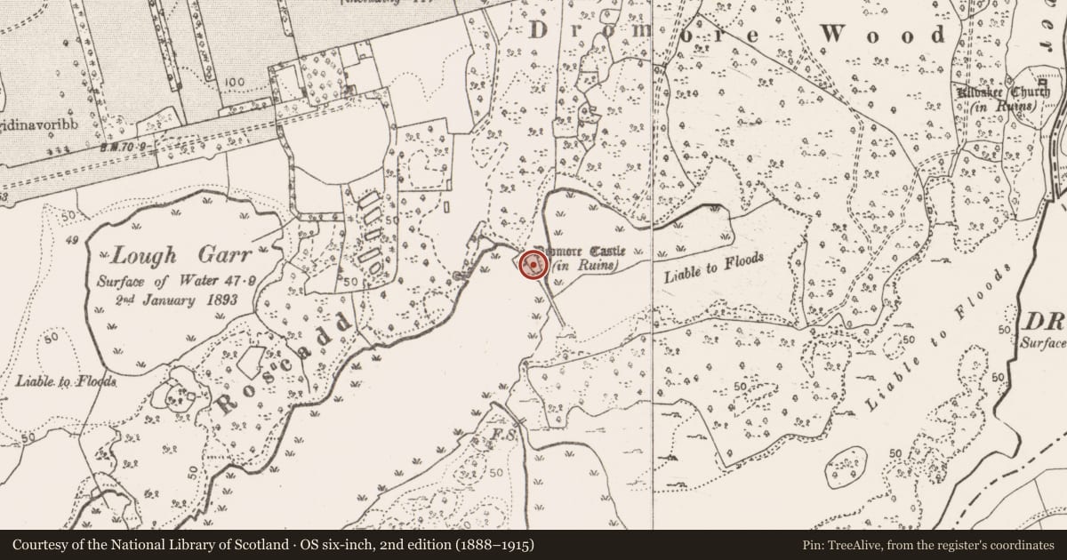 Ordnance Survey six-inch map, 2nd edition (1888–1915) covering the location of Bawn, Dromore, County Clare, with a pin at the register's coordinates