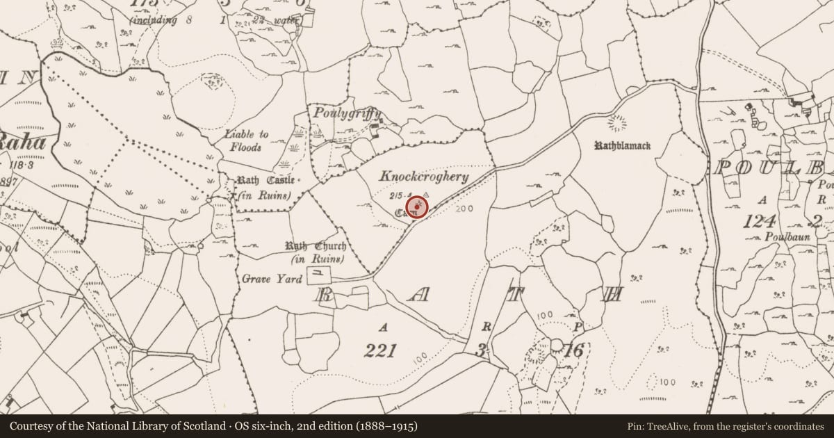 Ordnance Survey six-inch map, 2nd edition (1888–1915) covering the location of Cairn - unclassified, Shessiv, County Clare, with a pin at the register's coordinates