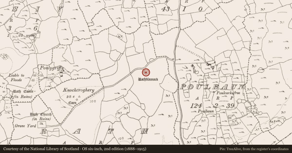 Ordnance Survey six-inch map, 2nd edition (1888–1915) covering the location of Ringfort - unclassified, Rath, County Clare, with a pin at the register's coordinates