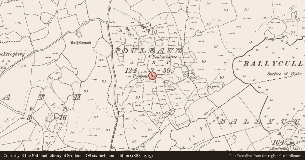 Ordnance Survey six-inch map, 2nd edition (1888–1915) covering the location of Enclosure, Poulbaun, County Clare, with a pin at the register's coordinates