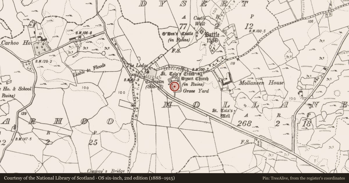 Ordnance Survey six-inch map, 2nd edition (1888–1915) covering the location of Graveyard, Mollaneen, County Clare, with a pin at the register's coordinates
