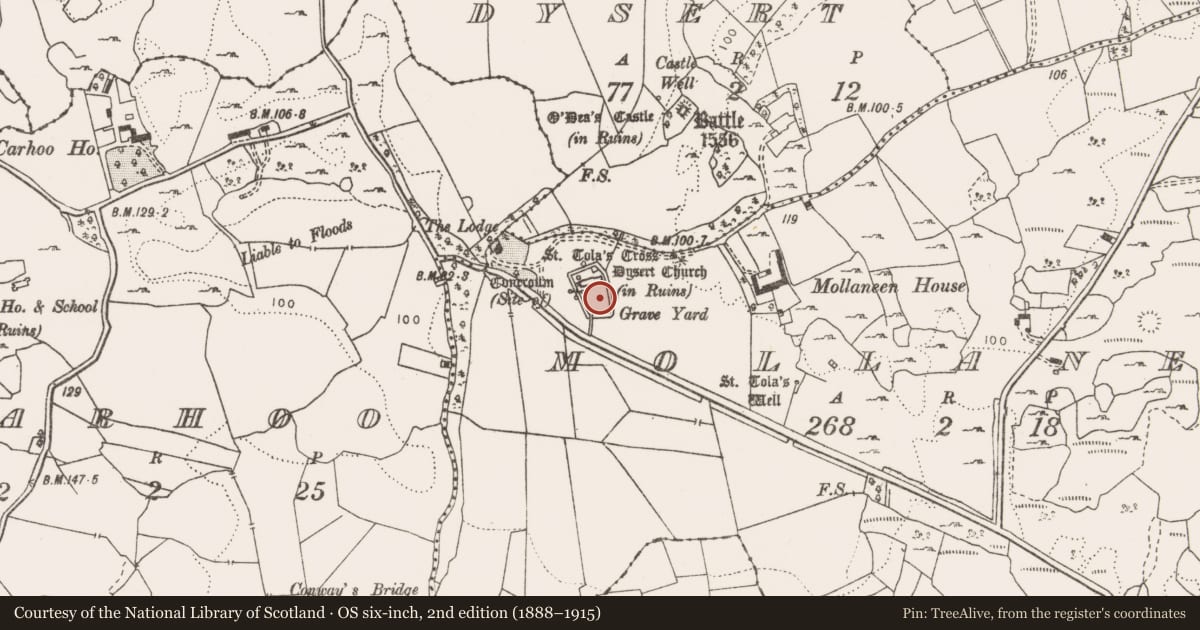 Ordnance Survey six-inch map, 2nd edition (1888–1915) covering the location of Cross, Mollaneen, County Clare, with a pin at the register's coordinates