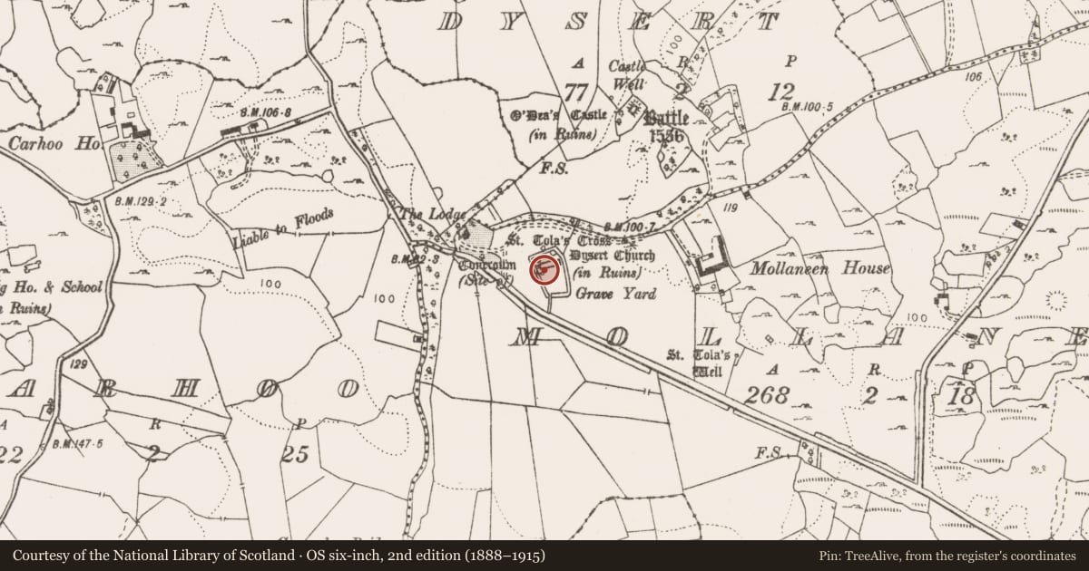 Ordnance Survey six-inch map, 2nd edition (1888–1915) covering the location of Tomb - effigial, Mollaneen, County Clare, with a pin at the register's coordinates