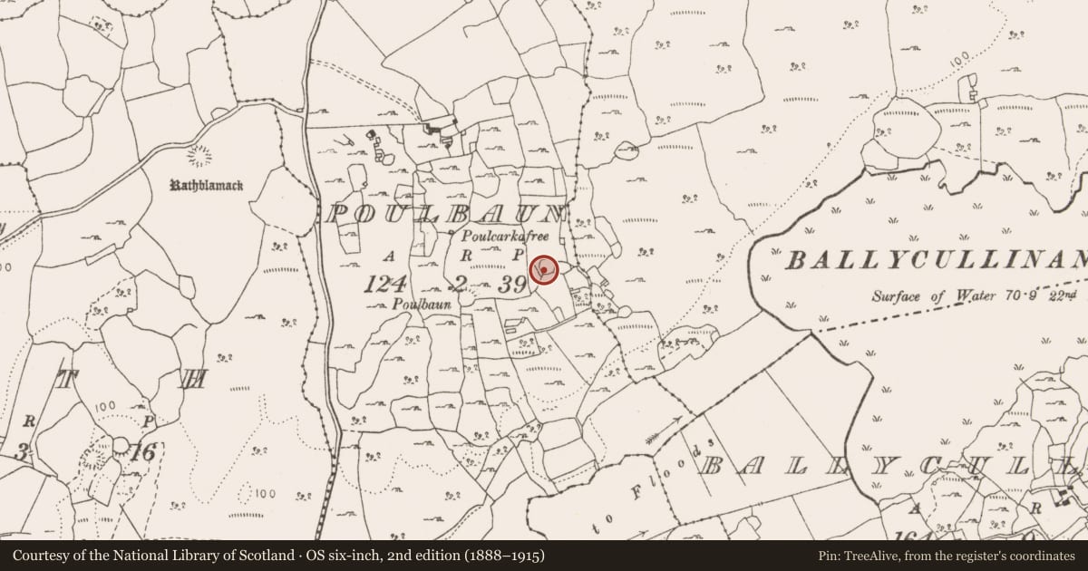 Ordnance Survey six-inch map, 2nd edition (1888–1915) covering the location of Ringfort - cashel, Poulbaun, County Clare, with a pin at the register's coordinates