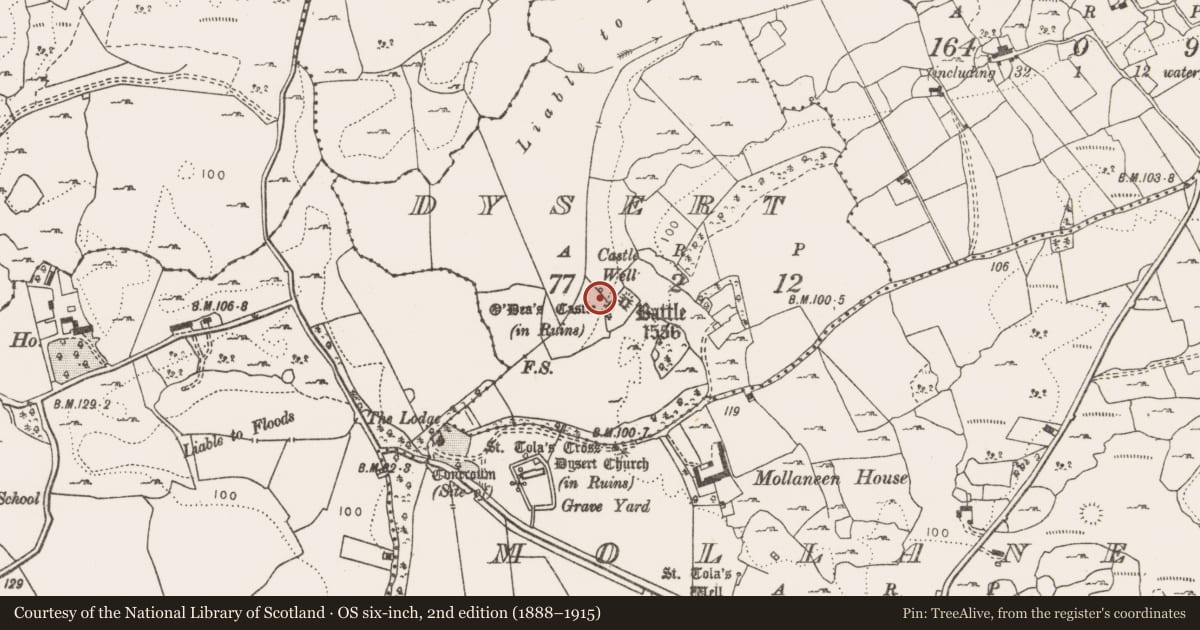 Ordnance Survey six-inch map, 2nd edition (1888–1915) covering the location of Well, Dysert, County Clare, with a pin at the register's coordinates