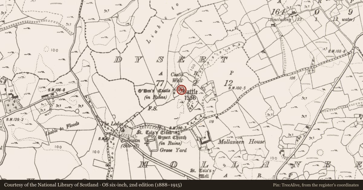 Ordnance Survey six-inch map, 2nd edition (1888–1915) covering the location of Bawn, Dysert, County Clare, with a pin at the register's coordinates