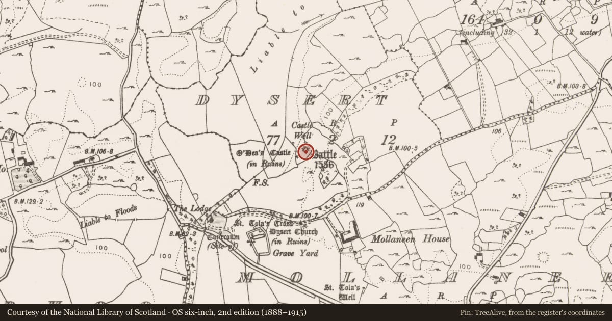 Ordnance Survey six-inch map, 2nd edition (1888–1915) covering the location of Architectural fragment, Dysert, County Clare, with a pin at the register's coordinates