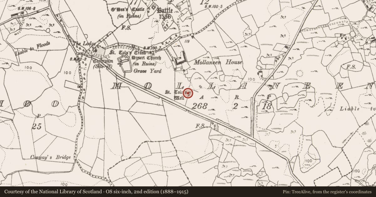 Ordnance Survey six-inch map, 2nd edition (1888–1915) covering the location of Bullaun stone, Mollaneen, County Clare, with a pin at the register's coordinates