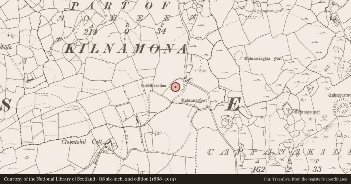 Ordnance Survey six-inch map, 2nd edition (1888–1915) covering the location of Enclosure - large enclosure, Soheen, County Clare, with a pin at the register's coordinates