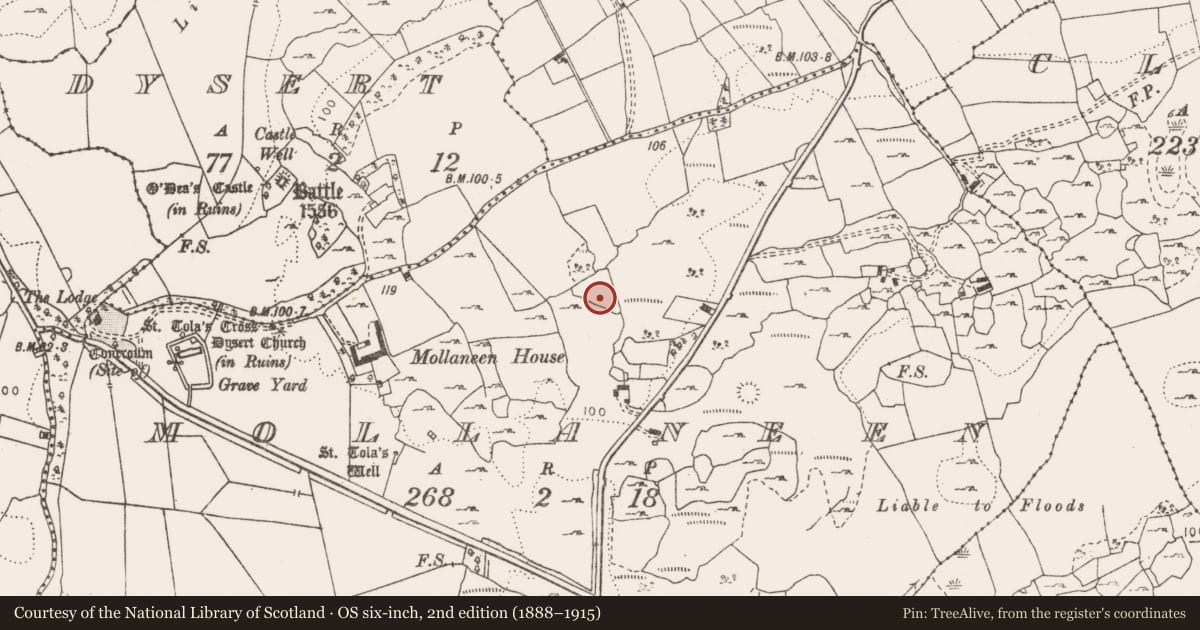 Ordnance Survey six-inch map, 2nd edition (1888–1915) covering the location of Megalithic structure, Mollaneen, County Clare, with a pin at the register's coordinates