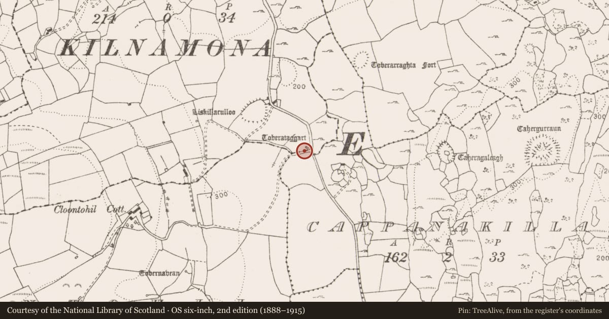 Ordnance Survey six-inch map, 2nd edition (1888–1915) covering the location of Ritual site - holy well, Soheen, County Clare, with a pin at the register's coordinates