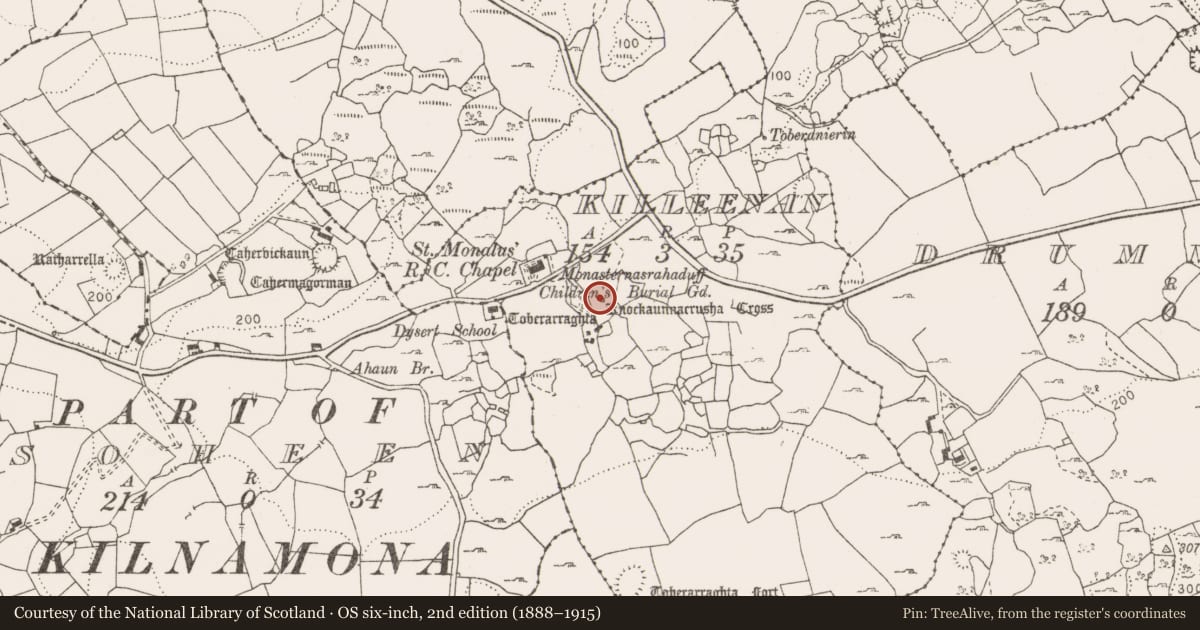 Ordnance Survey six-inch map, 2nd edition (1888–1915) covering the location of Cross - Wayside cross, Killeenan, County Clare, with a pin at the register's coordinates