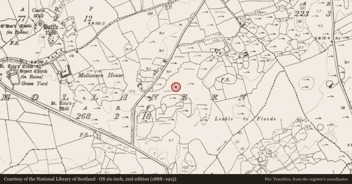 Ordnance Survey six-inch map, 2nd edition (1888–1915) covering the location of Earthwork, Mollaneen, County Clare, with a pin at the register's coordinates