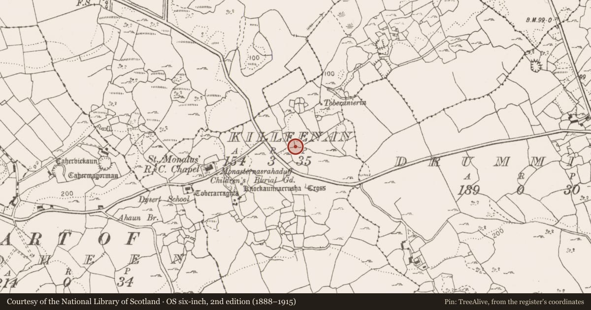 Ordnance Survey six-inch map, 2nd edition (1888–1915) covering the location of Ringfort - cashel, Killeenan, County Clare, with a pin at the register's coordinates