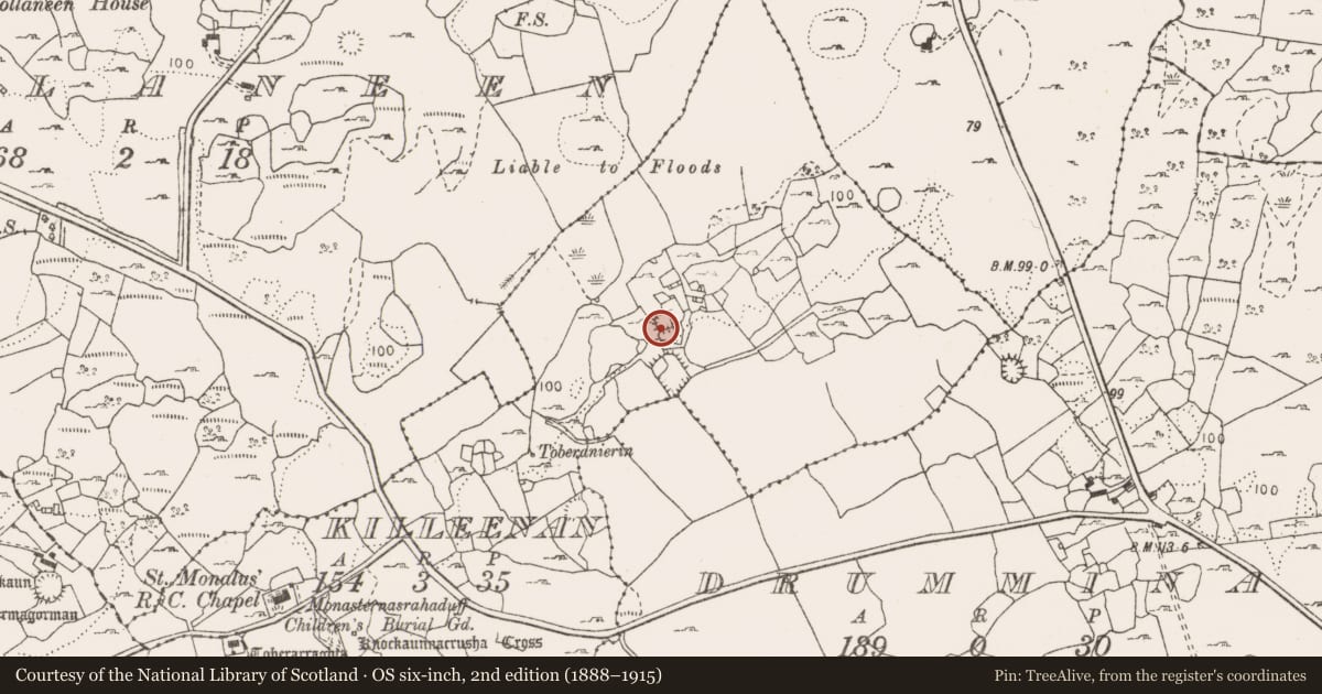 Ordnance Survey six-inch map, 2nd edition (1888–1915) covering the location of Ringfort - cashel, Killeenan, County Clare, with a pin at the register's coordinates