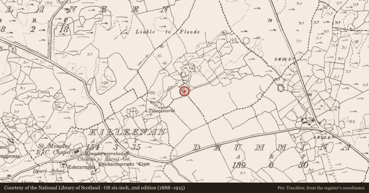 Ordnance Survey six-inch map, 2nd edition (1888–1915) covering the location of Enclosure, Killeenan, County Clare, with a pin at the register's coordinates