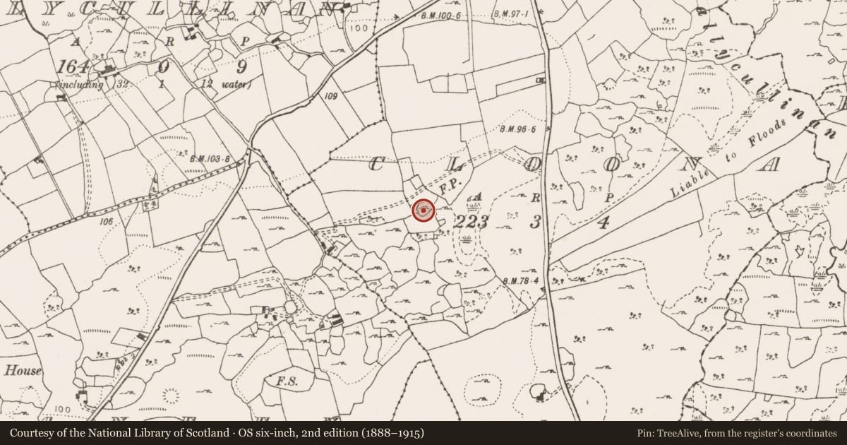 Ordnance Survey six-inch map, 2nd edition (1888–1915) covering the location of Enclosure, Cloona, County Clare, with a pin at the register's coordinates