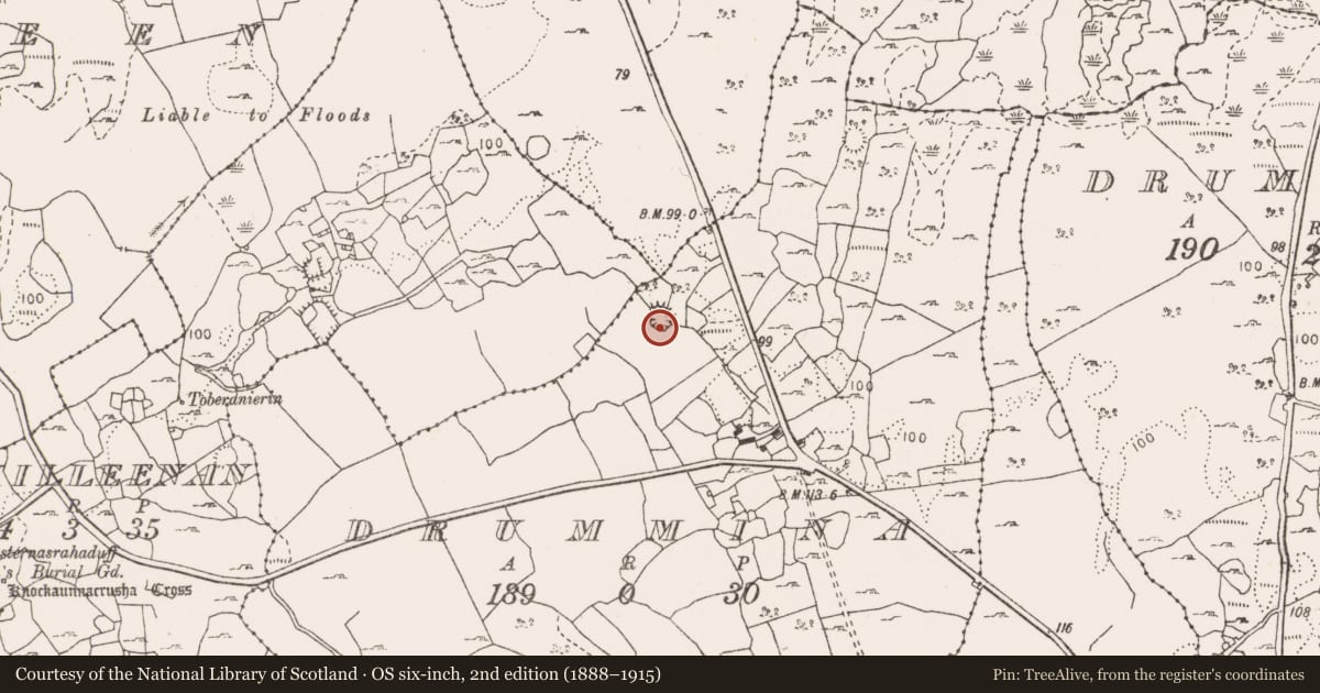 Ordnance Survey six-inch map, 2nd edition (1888–1915) covering the location of Ringfort - cashel, Drummina, County Clare, with a pin at the register's coordinates