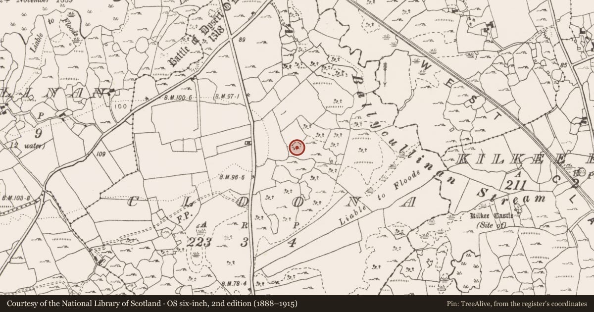 Ordnance Survey six-inch map, 2nd edition (1888–1915) covering the location of Ringfort - cashel, Cloona, County Clare, with a pin at the register's coordinates