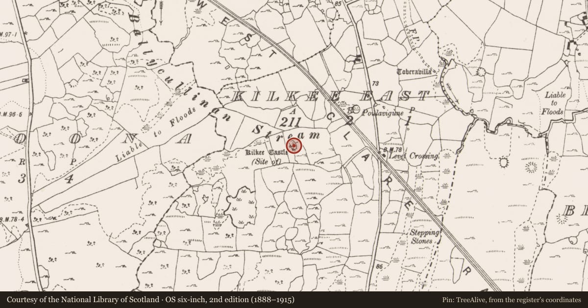 Ordnance Survey six-inch map, 2nd edition (1888–1915) covering the location of Castle - unclassified, Kilkee East, County Clare, with a pin at the register's coordinates