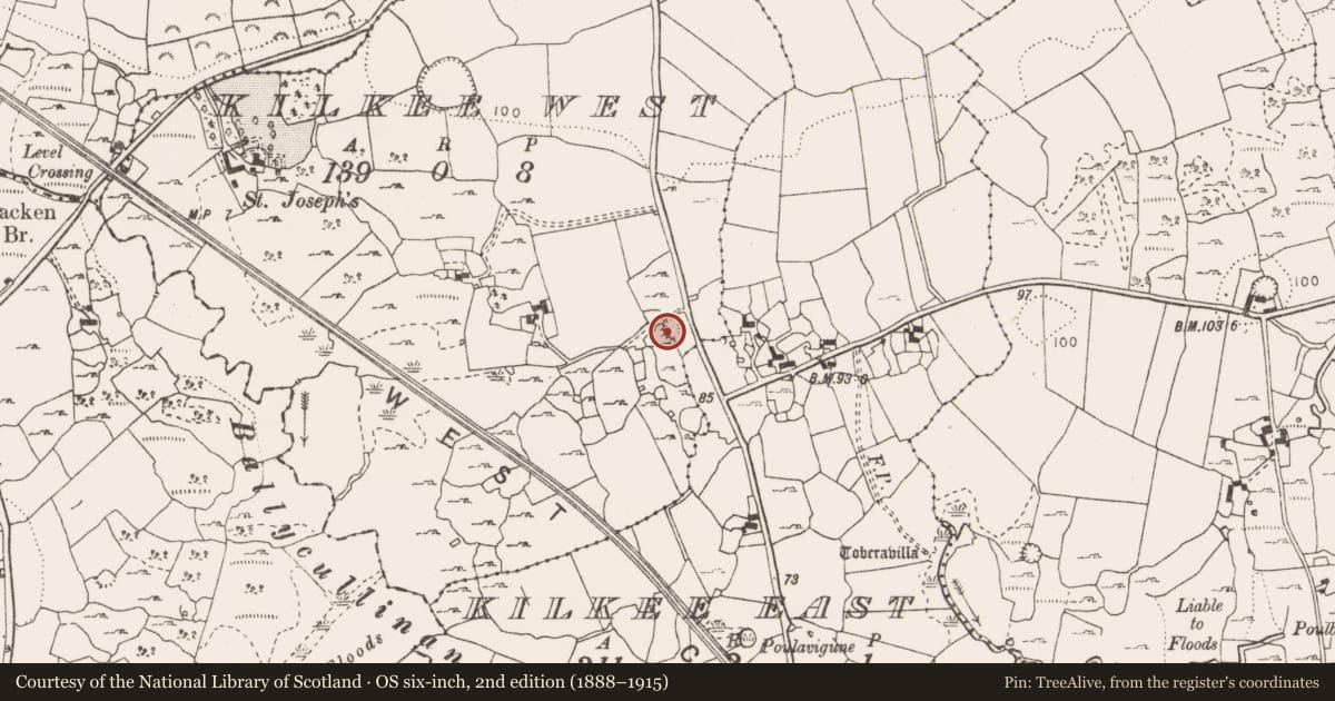 Ordnance Survey six-inch map, 2nd edition (1888–1915) covering the location of Ringfort - cashel, Kilkee West, County Clare, with a pin at the register's coordinates
