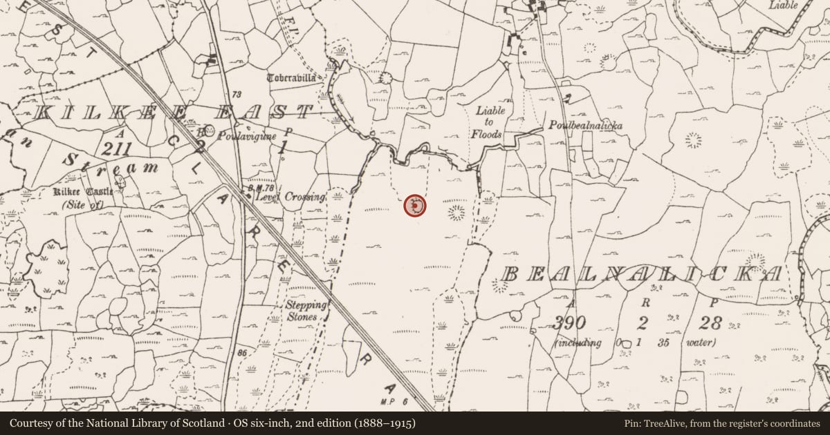 Ordnance Survey six-inch map, 2nd edition (1888–1915) covering the location of Enclosure, Drummeer, County Clare, with a pin at the register's coordinates
