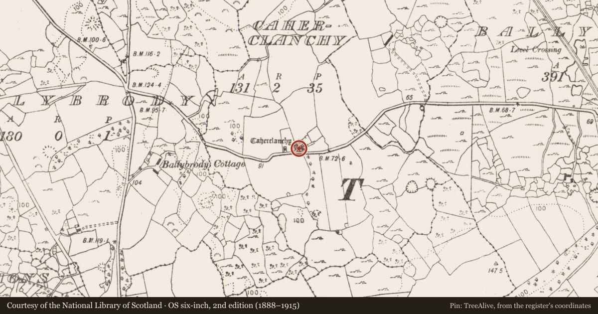 Ordnance Survey six-inch map, 2nd edition (1888–1915) covering the location of Ringfort - cashel, Caherclanchy, County Clare, with a pin at the register's coordinates