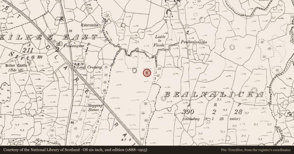 Ordnance Survey six-inch map, 2nd edition (1888–1915) covering the location of Ringfort - cashel, Drummeer, County Clare, with a pin at the register's coordinates