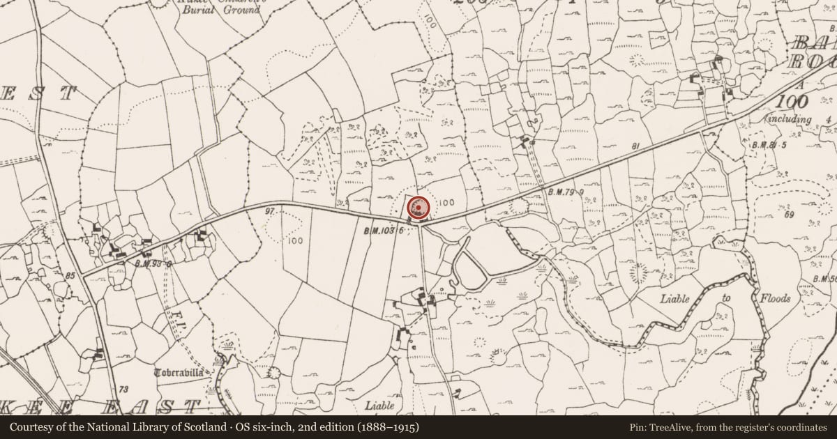 Ordnance Survey six-inch map, 2nd edition (1888–1915) covering the location of Ringfort - cashel, Bealnalicka, County Clare, with a pin at the register's coordinates