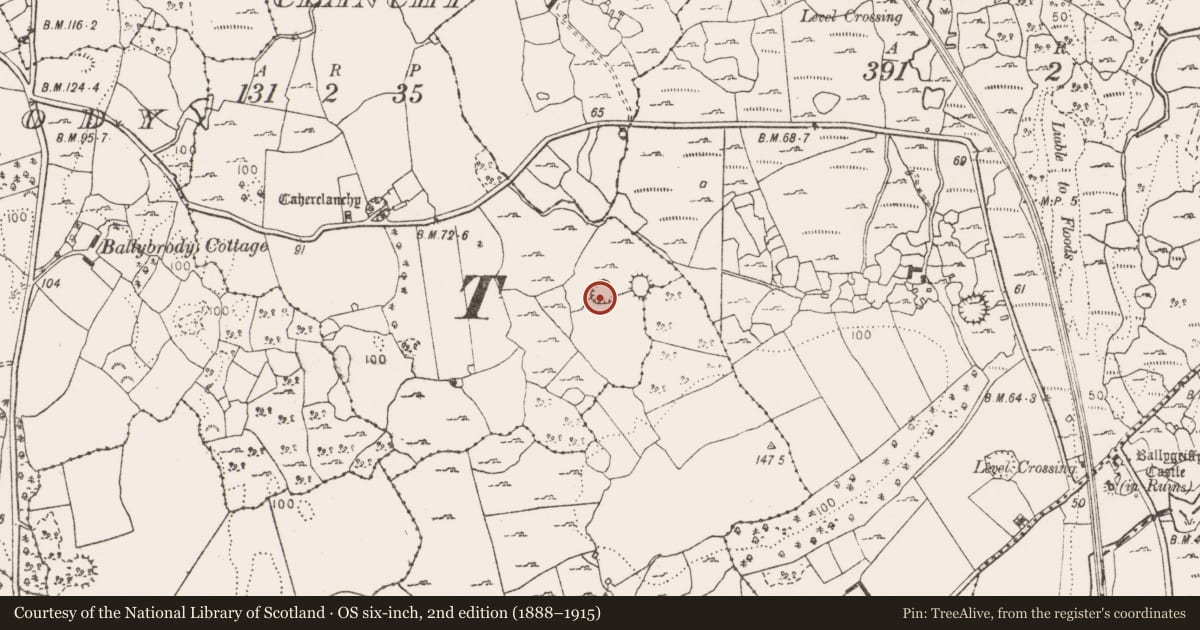 Ordnance Survey six-inch map, 2nd edition (1888–1915) covering the location of Ringfort - cashel, Caherclanchy, County Clare, with a pin at the register's coordinates