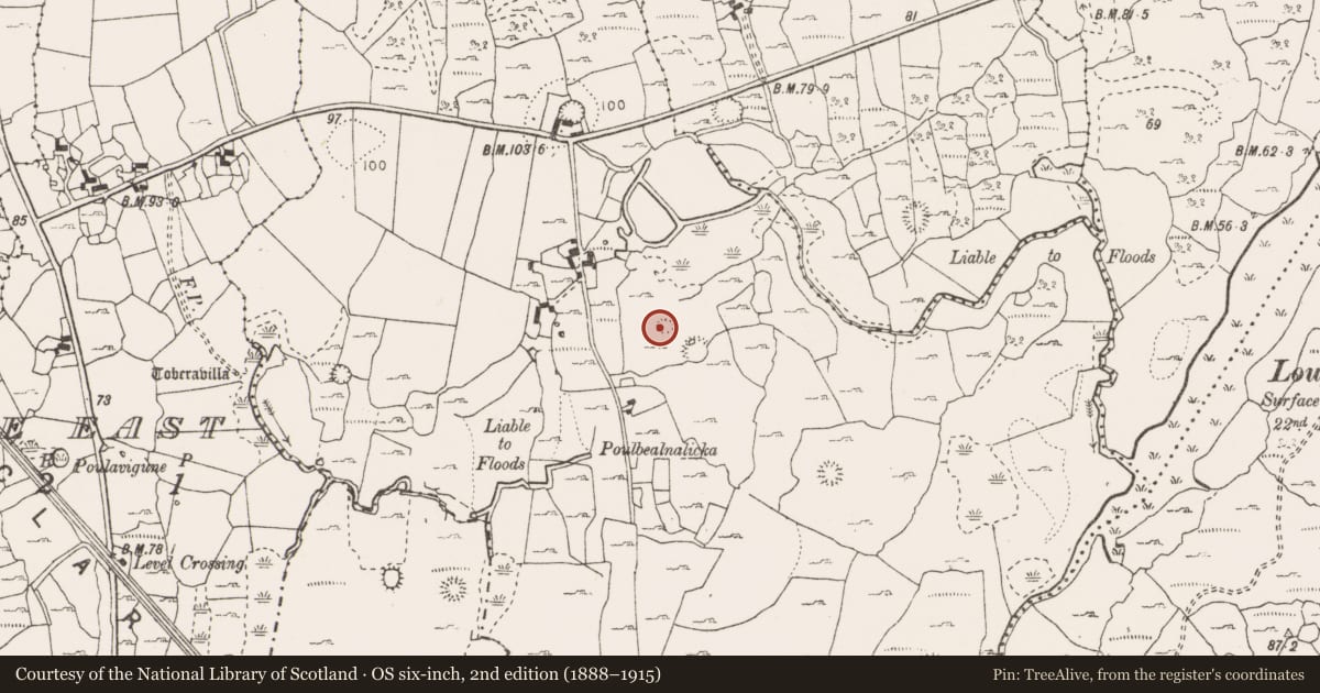 Ordnance Survey six-inch map, 2nd edition (1888–1915) covering the location of Ringfort - cashel, Bealnalicka, County Clare, with a pin at the register's coordinates