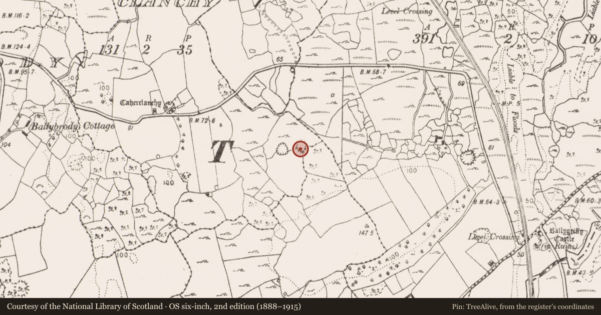 Ordnance Survey six-inch map, 2nd edition (1888–1915) covering the location of Ringfort - cashel, Ballygriffy South, Caherclanchy, County Clare, with a pin at the register's coordinates