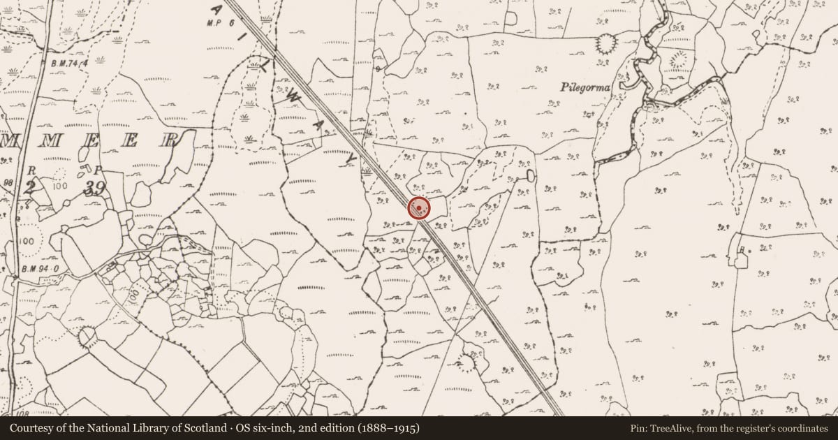 Ordnance Survey six-inch map, 2nd edition (1888–1915) covering the location of Ringfort - cashel, Bealnalicka, County Clare, with a pin at the register's coordinates