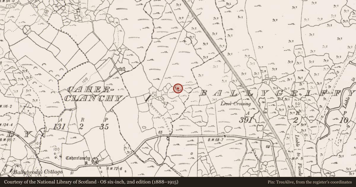 Ordnance Survey six-inch map, 2nd edition (1888–1915) covering the location of Ringfort - cashel, Bealnalicka, Caherclanchy, County Clare, with a pin at the register's coordinates