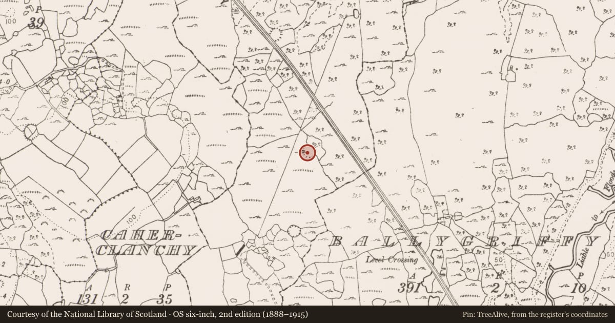 Ordnance Survey six-inch map, 2nd edition (1888–1915) covering the location of Ringfort - cashel, Bealnalicka, County Clare, with a pin at the register's coordinates