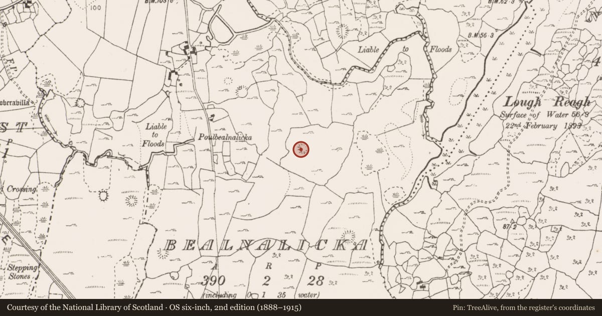 Ordnance Survey six-inch map, 2nd edition (1888–1915) covering the location of Ringfort - cashel, Bealnalicka, County Clare, with a pin at the register's coordinates