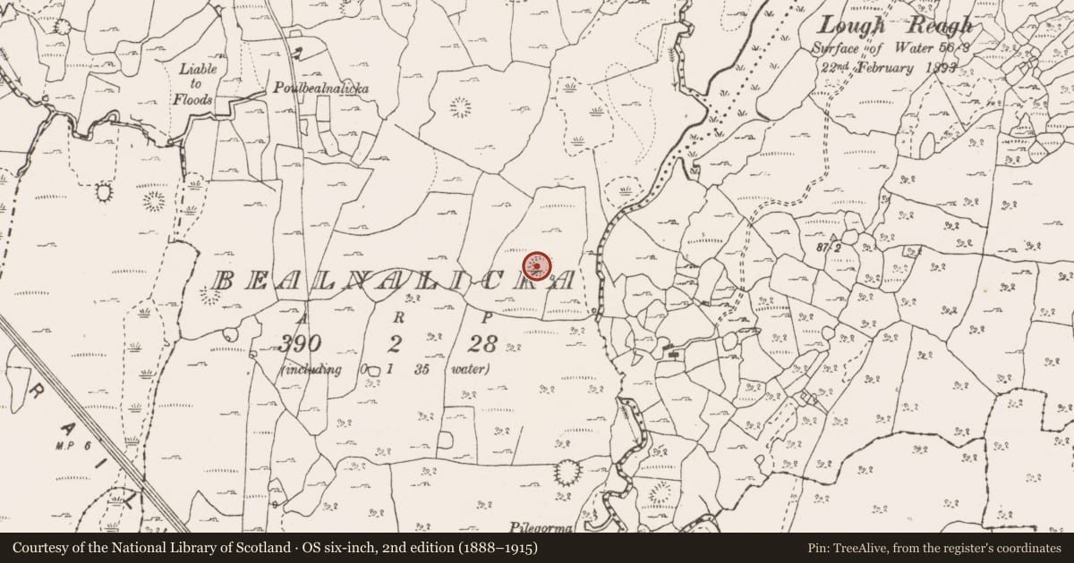 Ordnance Survey six-inch map, 2nd edition (1888–1915) covering the location of Ringfort - cashel, Bealnalicka, County Clare, with a pin at the register's coordinates