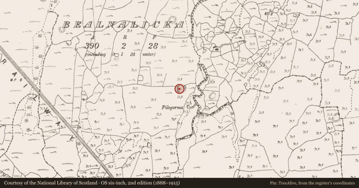 Ordnance Survey six-inch map, 2nd edition (1888–1915) covering the location of Ringfort - cashel, Bealnalicka, County Clare, with a pin at the register's coordinates