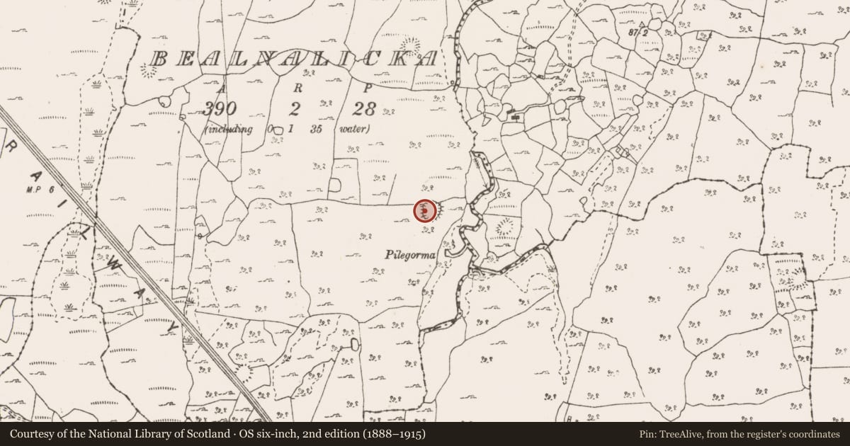 Ordnance Survey six-inch map, 2nd edition (1888–1915) covering the location of Hut site, Bealnalicka, County Clare, with a pin at the register's coordinates