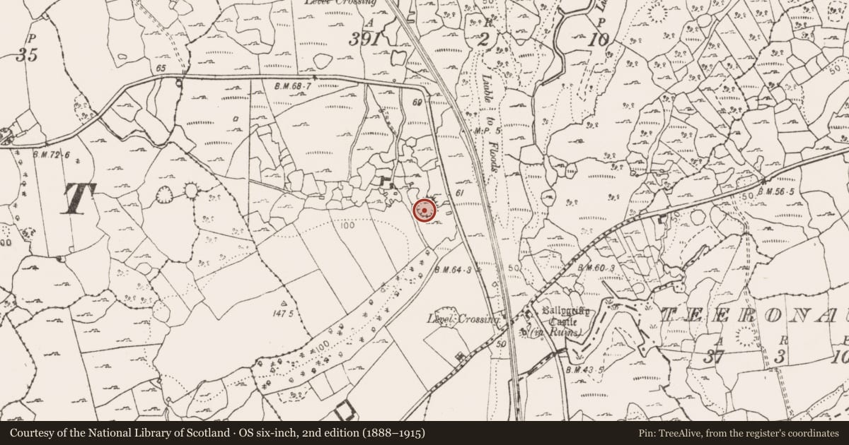 Ordnance Survey six-inch map, 2nd edition (1888–1915) covering the location of Ringfort - cashel, Ballygriffy North, County Clare, with a pin at the register's coordinates