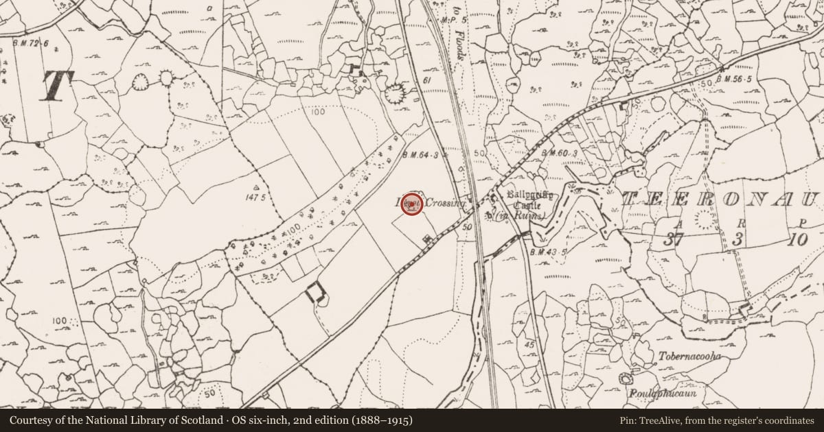 Ordnance Survey six-inch map, 2nd edition (1888–1915) covering the location of Ringfort - cashel, Ballygriffy North, County Clare, with a pin at the register's coordinates