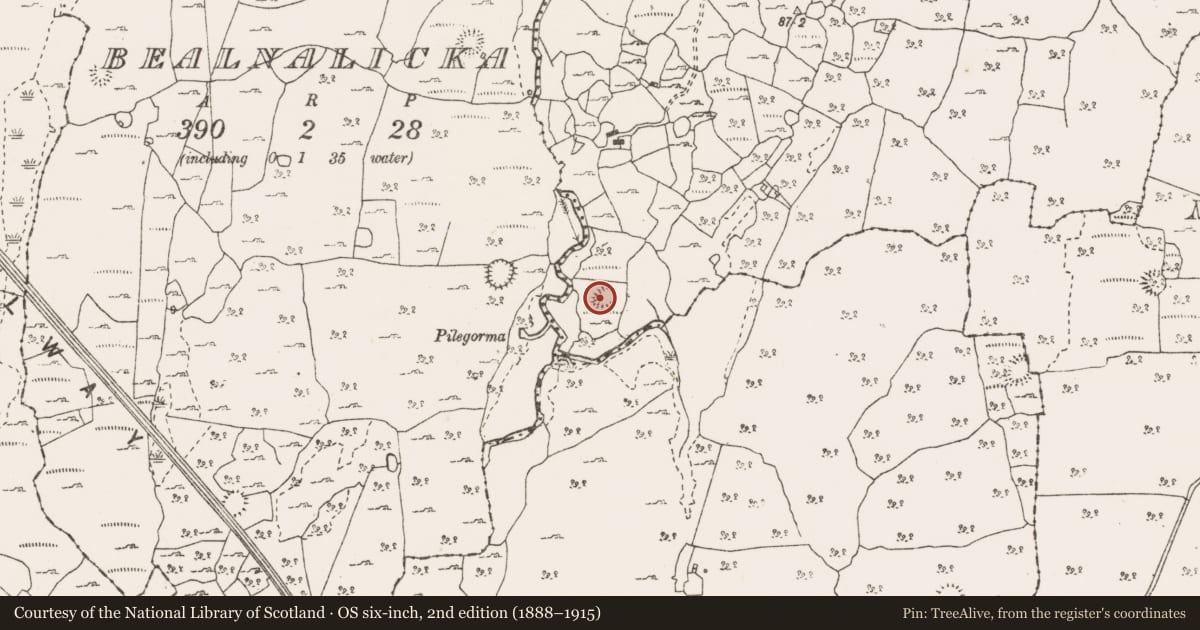 Ordnance Survey six-inch map, 2nd edition (1888–1915) covering the location of Ringfort - cashel, Nooan, County Clare, with a pin at the register's coordinates