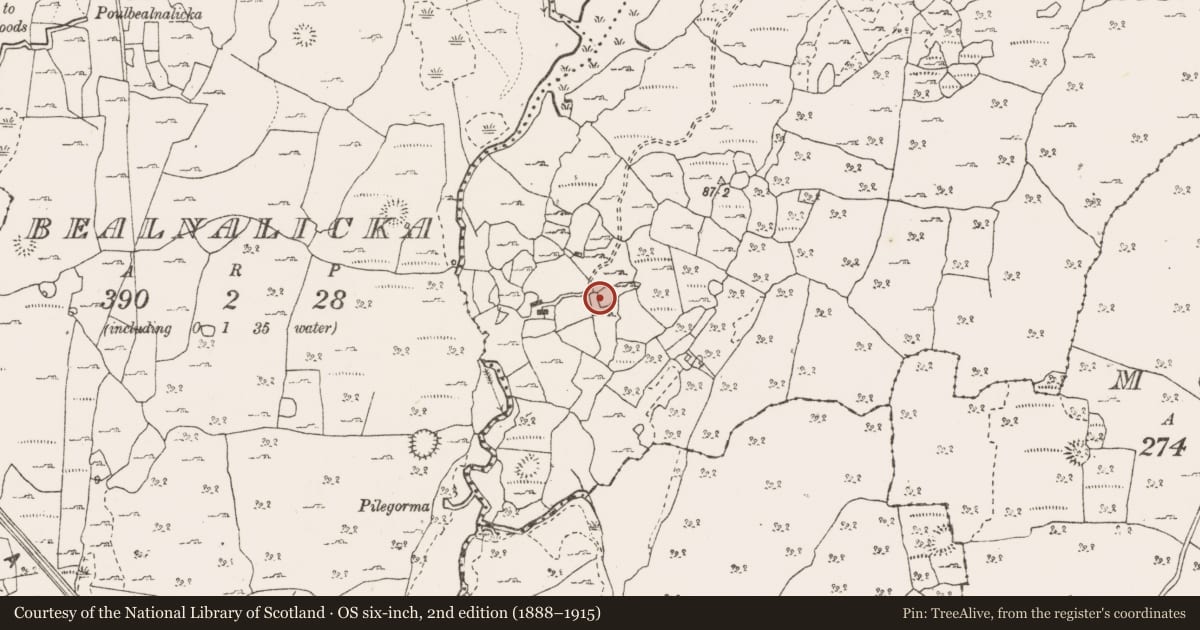 Ordnance Survey six-inch map, 2nd edition (1888–1915) covering the location of Enclosure, Nooan, County Clare, with a pin at the register's coordinates