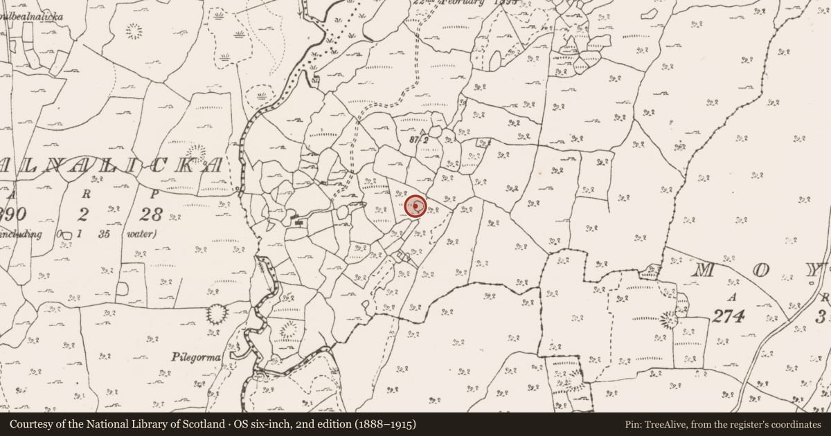 Ordnance Survey six-inch map, 2nd edition (1888–1915) covering the location of Ringfort - cashel, Nooan, County Clare, with a pin at the register's coordinates