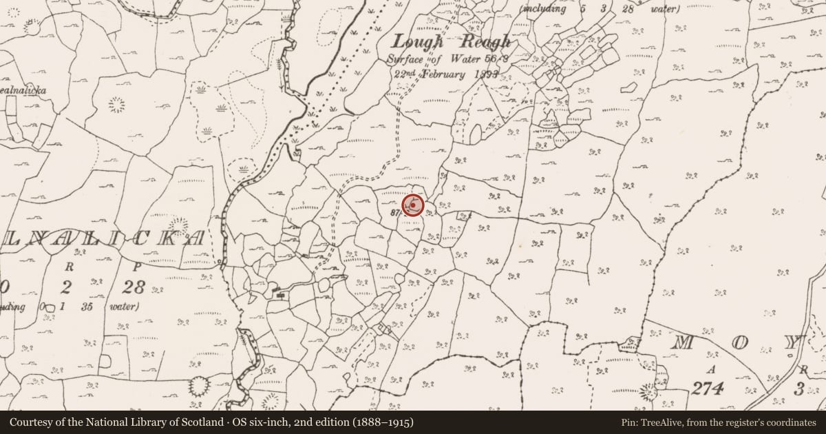 Ordnance Survey six-inch map, 2nd edition (1888–1915) covering the location of Ringfort - cashel, Nooan, County Clare, with a pin at the register's coordinates