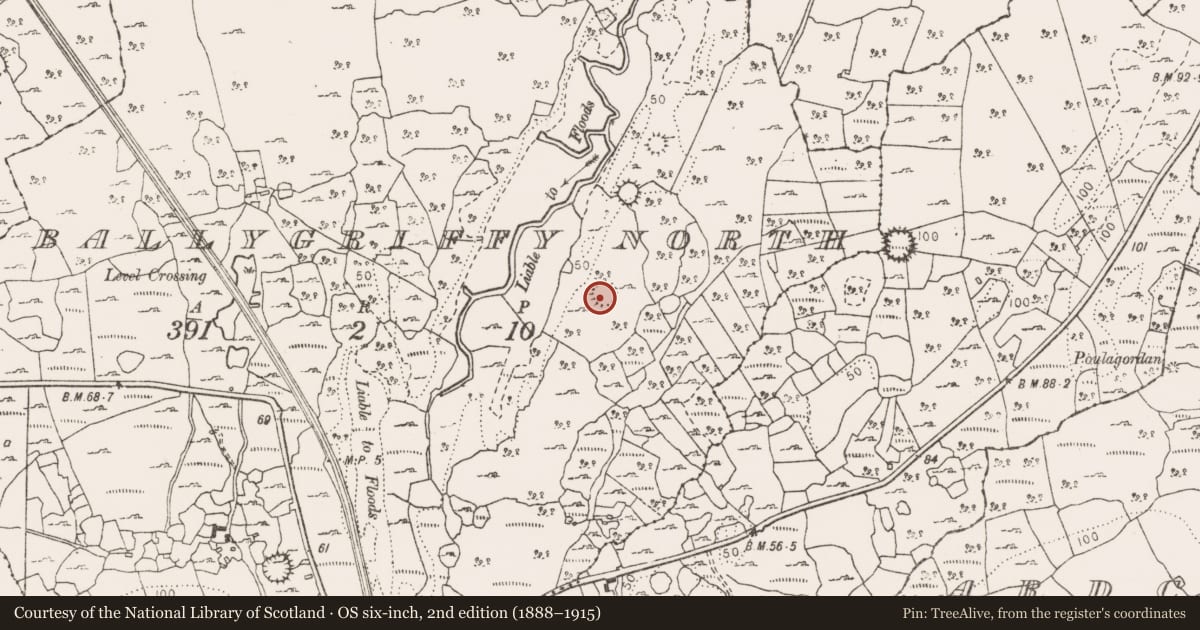 Ordnance Survey six-inch map, 2nd edition (1888–1915) covering the location of Ringfort - cashel, Ballygriffy North, County Clare, with a pin at the register's coordinates