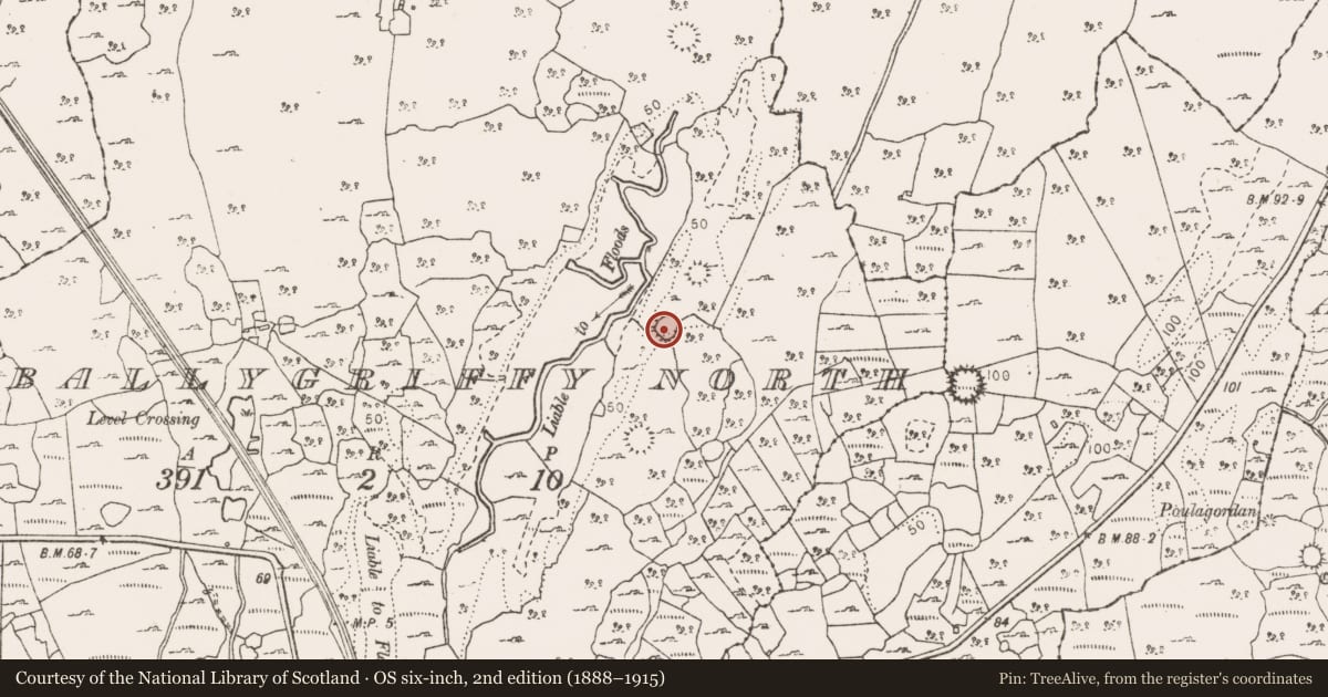 Ordnance Survey six-inch map, 2nd edition (1888–1915) covering the location of Ringfort - cashel, Ballygriffy North, County Clare, with a pin at the register's coordinates