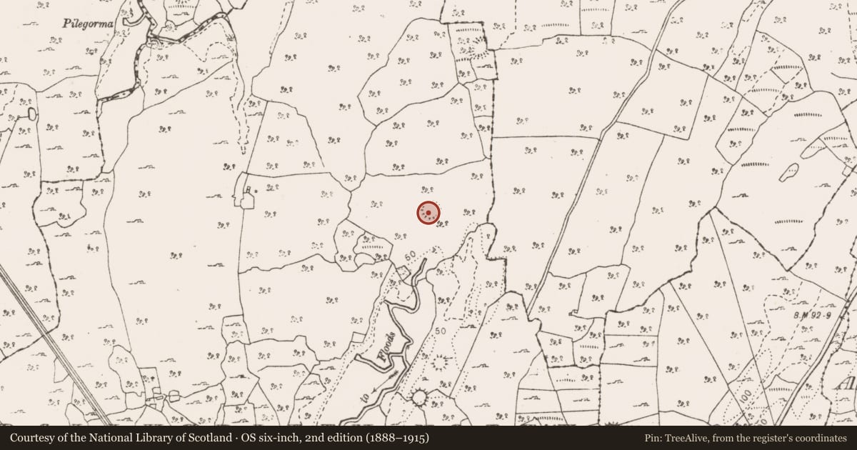 Ordnance Survey six-inch map, 2nd edition (1888–1915) covering the location of Ringfort - cashel, Ballygriffy North, County Clare, with a pin at the register's coordinates