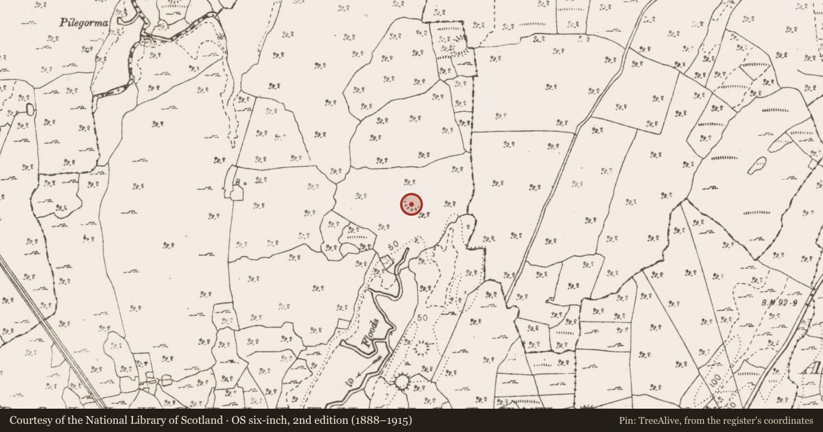 Ordnance Survey six-inch map, 2nd edition (1888–1915) covering the location of Hut site, Ballygriffy North, County Clare, with a pin at the register's coordinates
