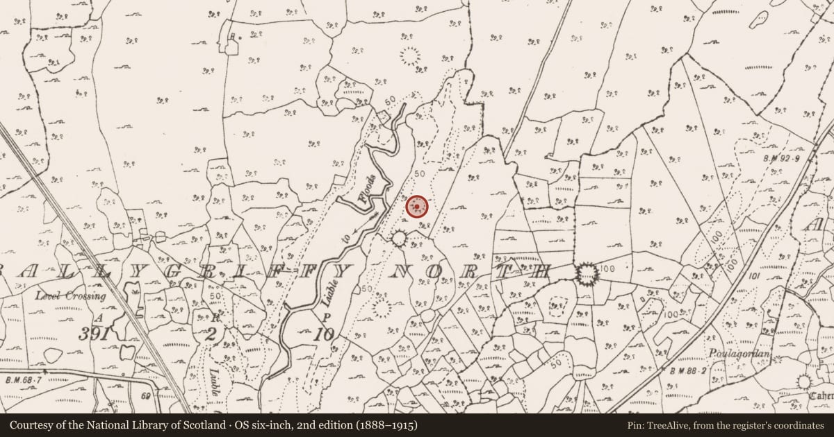 Ordnance Survey six-inch map, 2nd edition (1888–1915) covering the location of Ringfort - cashel, Ballygriffy North, County Clare, with a pin at the register's coordinates